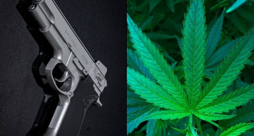 Gun Ban for Marijuana Users