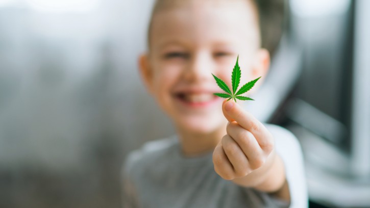 a young boy holding a marijuana leaf