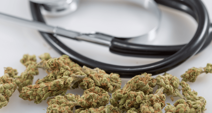 a stethoscoped  medical marijuana buds