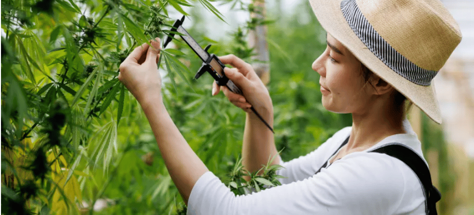 a woman in a straw hat discovering how cannabis and the equinox go hand in hand.