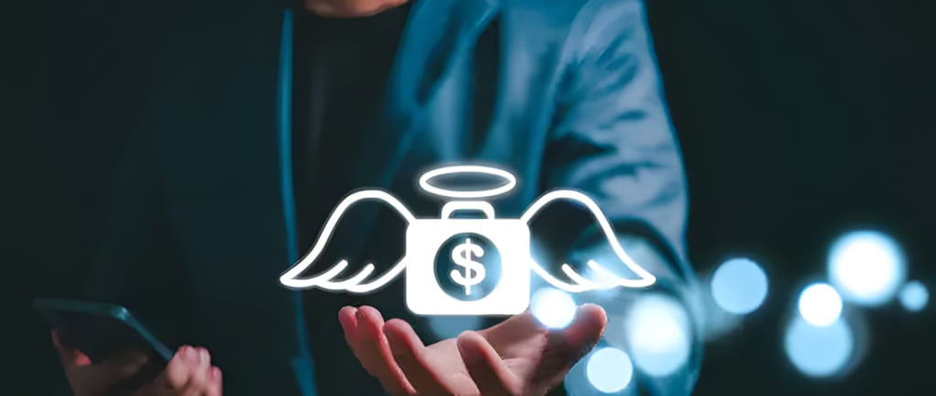 angel investment