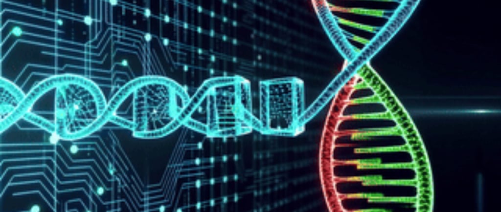 Blockchain dna transcribes to learn from each other.