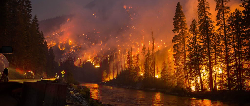 a firefighter is seen from the side of a road