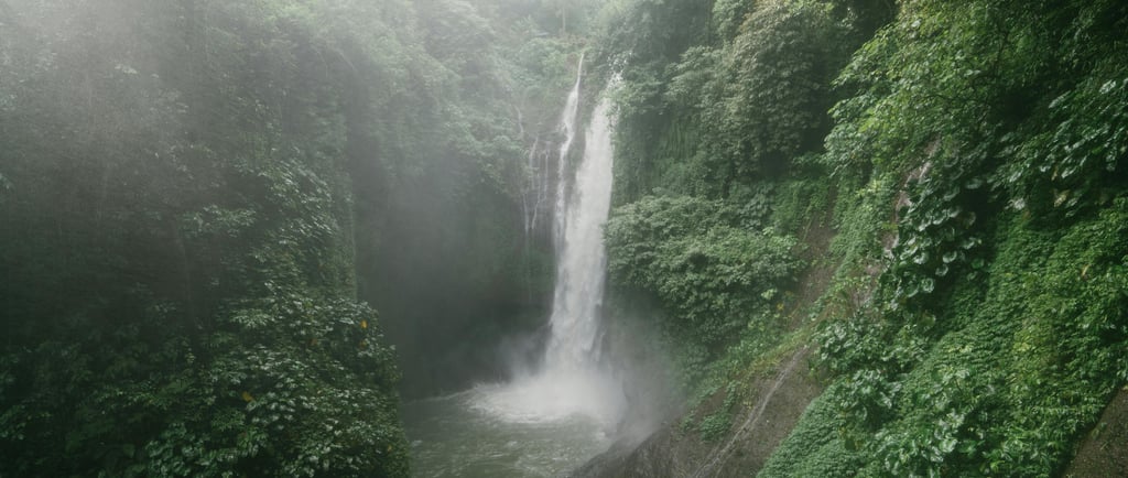 Waterfall surround my lush green jungle