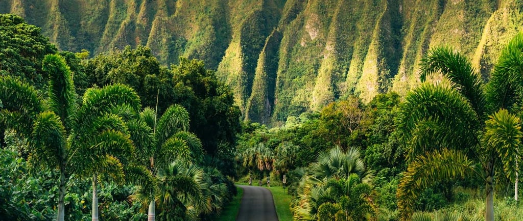 Hoomaluhia Botanical Garden Oahu Hawaii