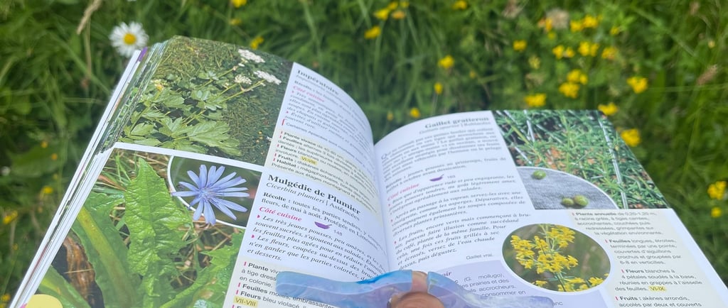 Bague de livre, aide à mieux lire, plastnat 