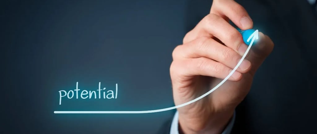 Supermarket's Profit Potential