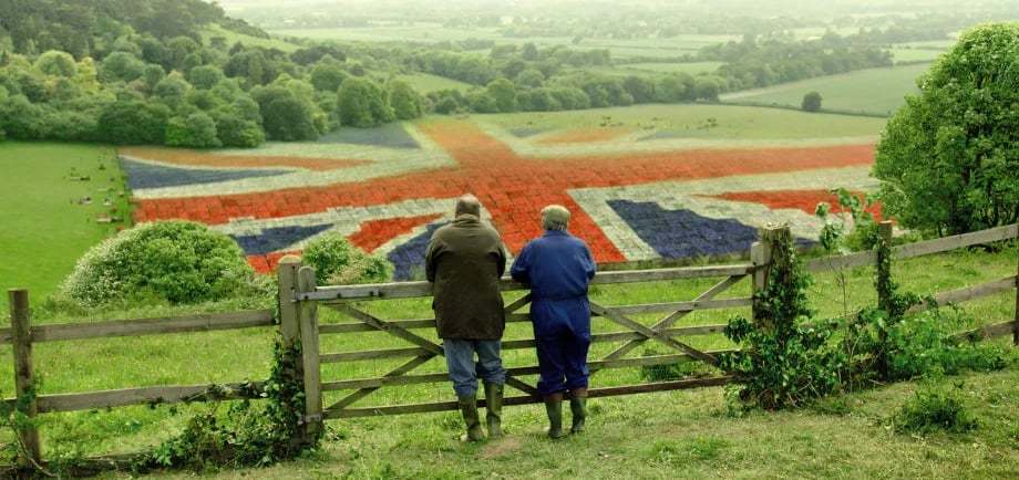 Aldi leads UK supermarkets in selling British free-range eggs