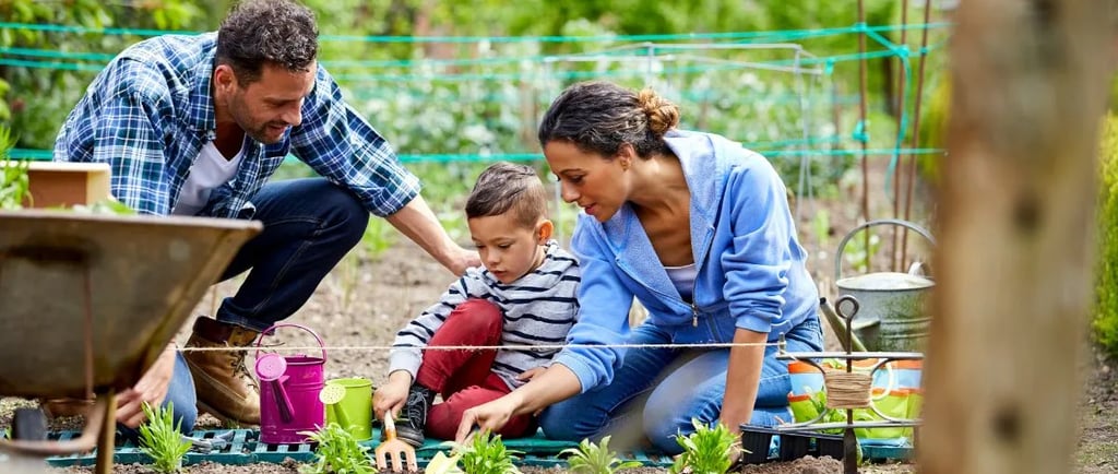Backyard Farms