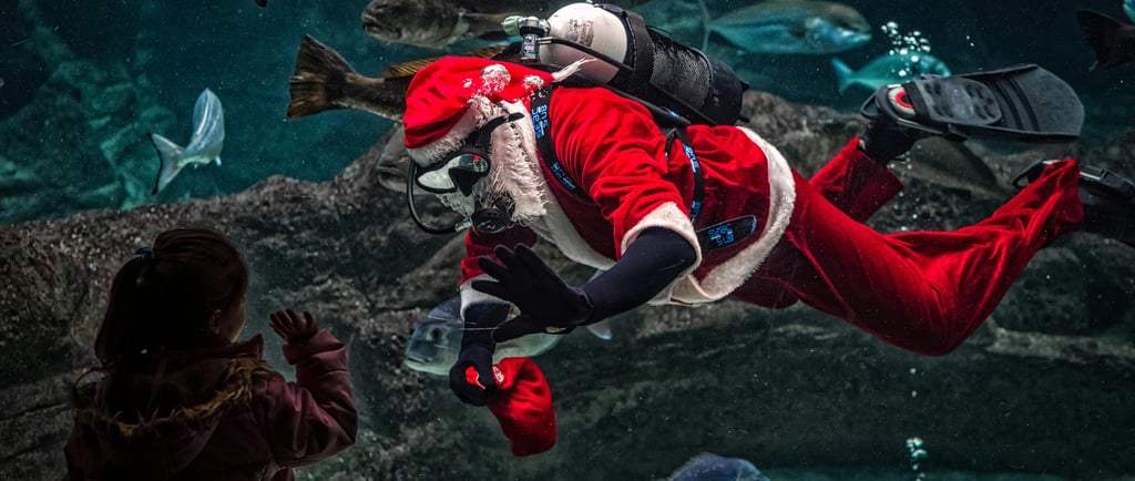 christmas swimming london