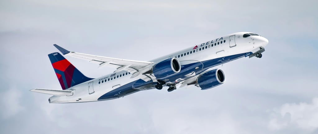 Delta Airlines Plane customer service