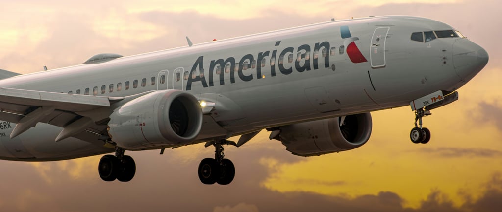 American Airlines Plane customer service