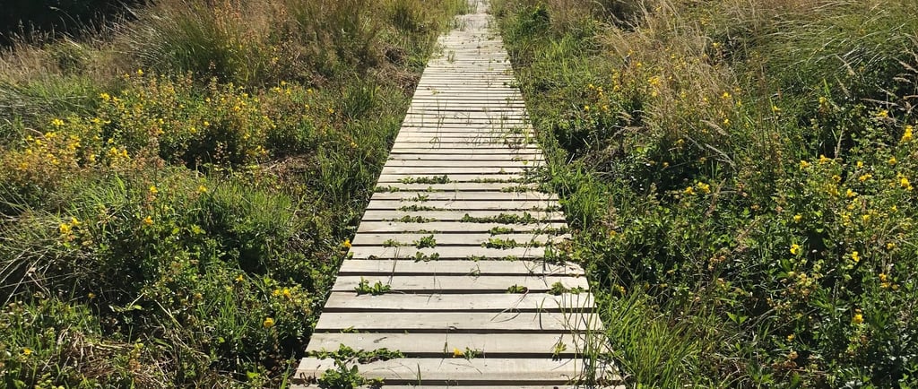 Boardwalk path symbolizing hypnotherapy journey forward