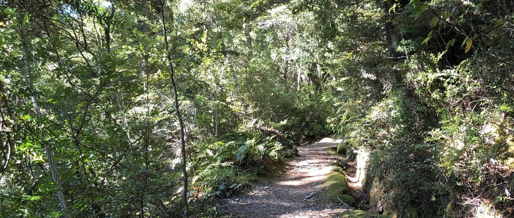 a pathway through pain and trauma 