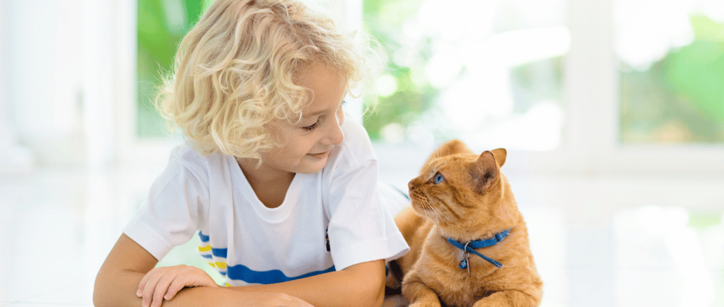 Child and cat