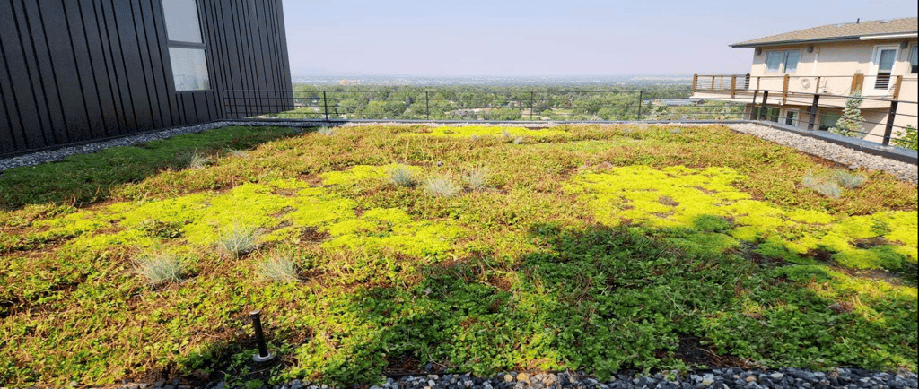 Green Roof Example Photo: Green Roofs of Colorado