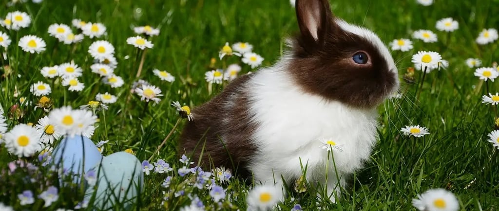 Easter break activities