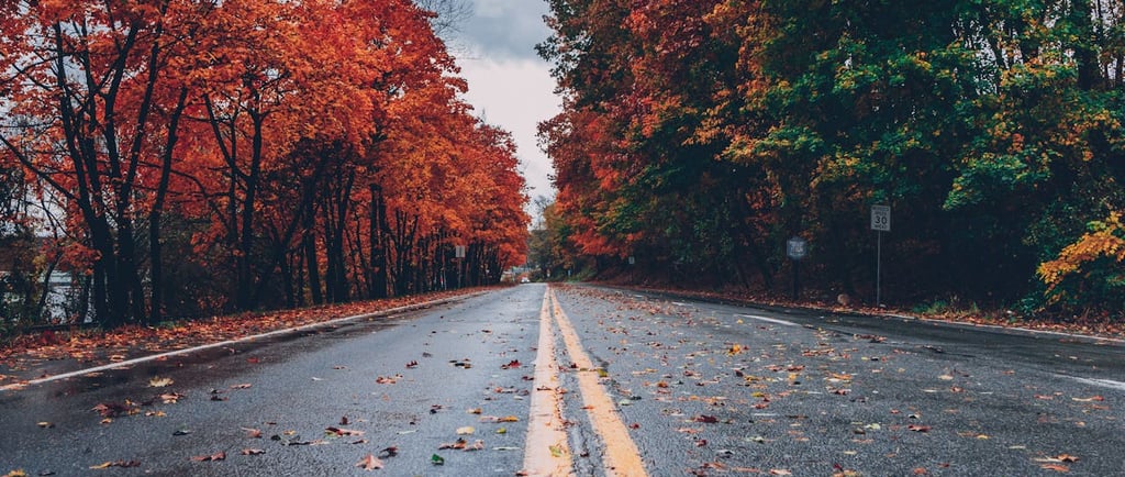 autumn scenes