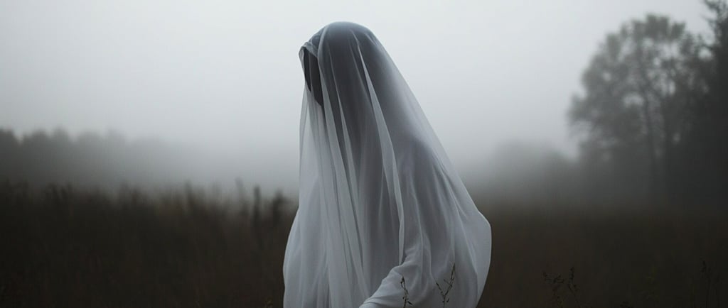 image of someone ghosting their Catonsville real estate agent