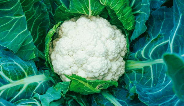 cauliflower