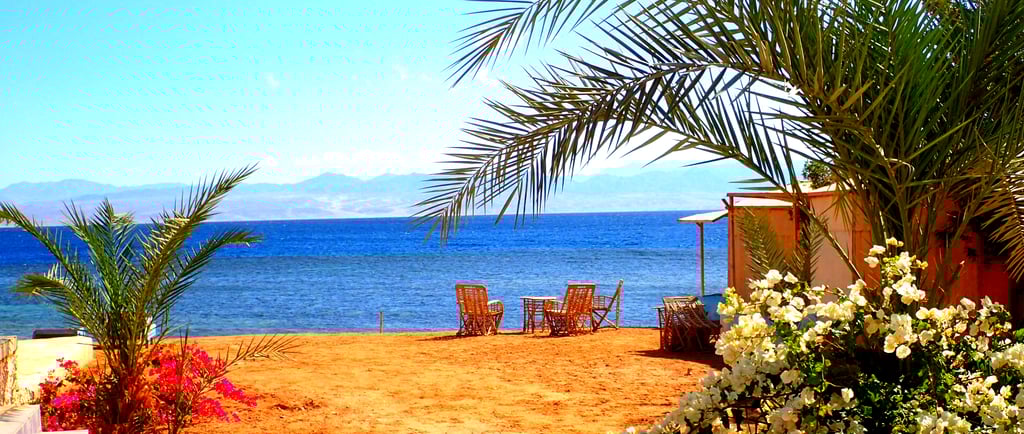 View of the beach flowers and sea at Bedouin star Ras shitan