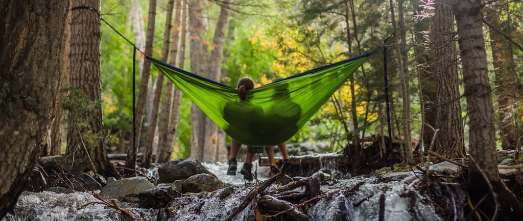 A couple of empty nesters sat in a hammock in a jungle