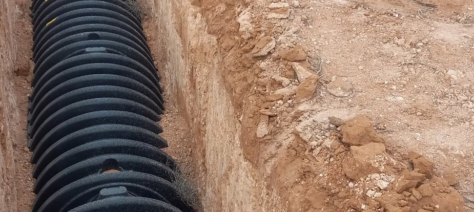 Little cute Bulldog Standing next to a leach field being installed