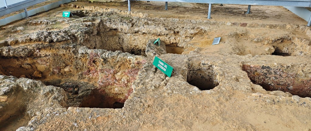tumbas necropolis carmona