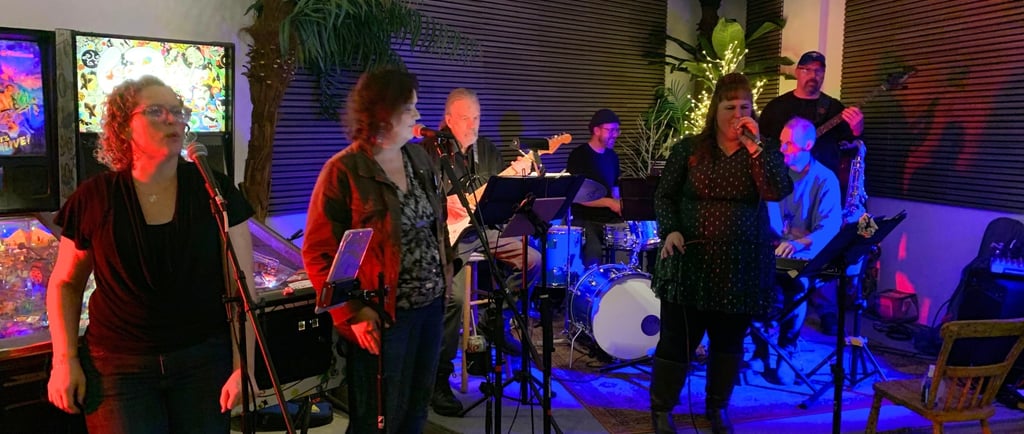 Birds of a feather band performing on stage