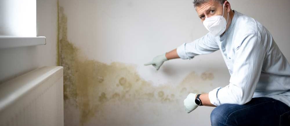 Inspección de vivienda