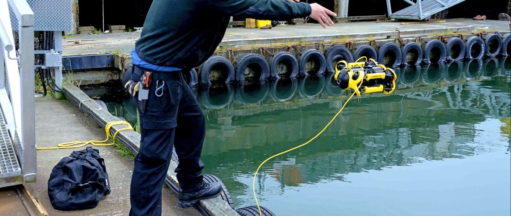 Seawall inspection port