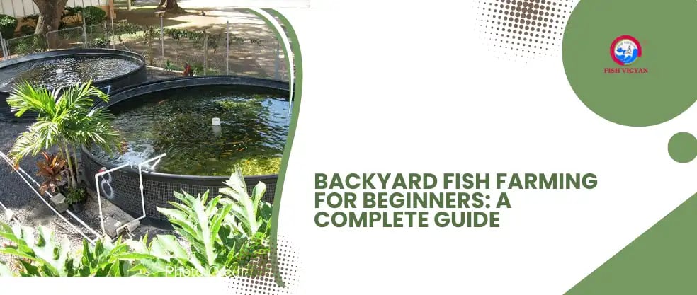 Backyard Fish Farming for Beginners: A Complete Guide