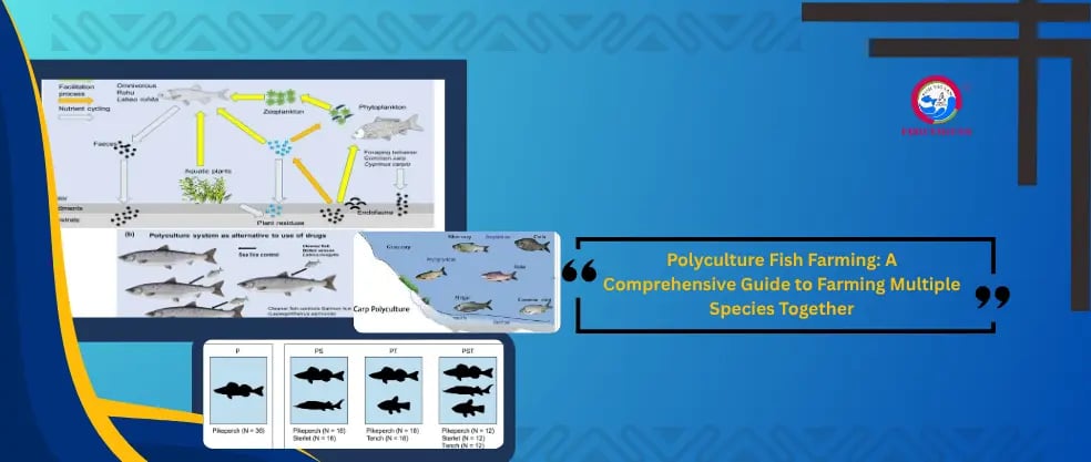 Polyculture Fish Farming: A Comprehensive Guide to Farming Multiple Species Together