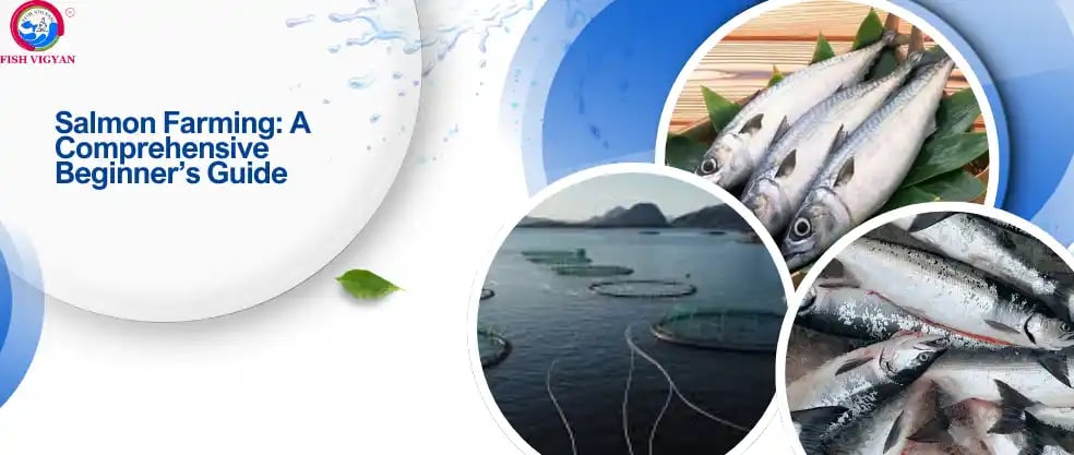 Salmon Farming: A Comprehensive Beginner’s Guide