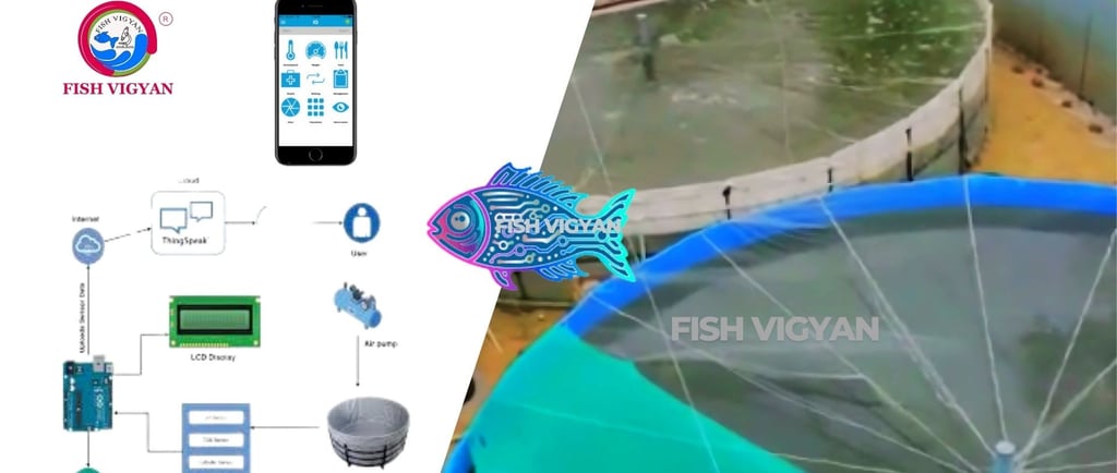 The future of fish farming