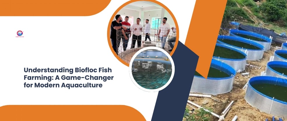 Understanding Biofloc Fish Farming: A Game-Changer for Modern Aquaculture