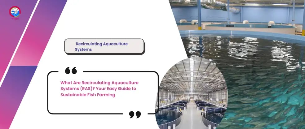 What Are Recirculating Aquaculture Systems (RAS)? Your Easy Guide to Sustainable Fish Farming