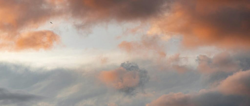 Agotamiento de la vía judicial previa y requisitos de subsidiariedad en el recurso de amparo