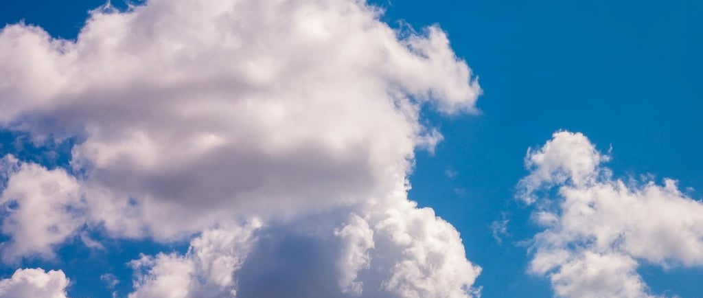 Objeción de Conciencia Farmacéutica