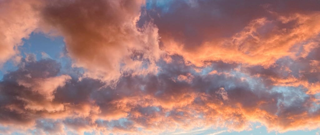 "Abogados especialistas en Recurso de Amparo Tribunal Constitucional"