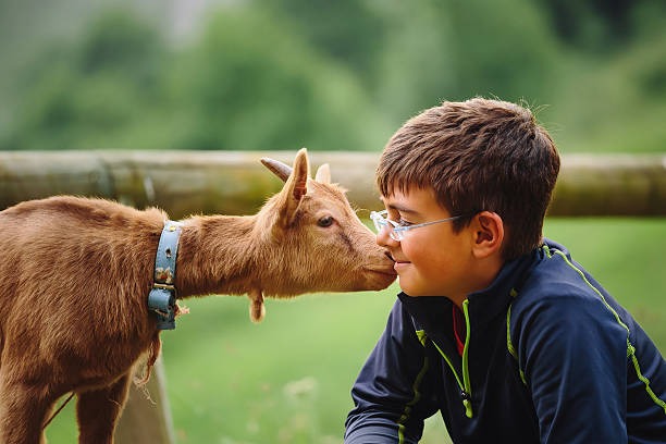 viande et conscience