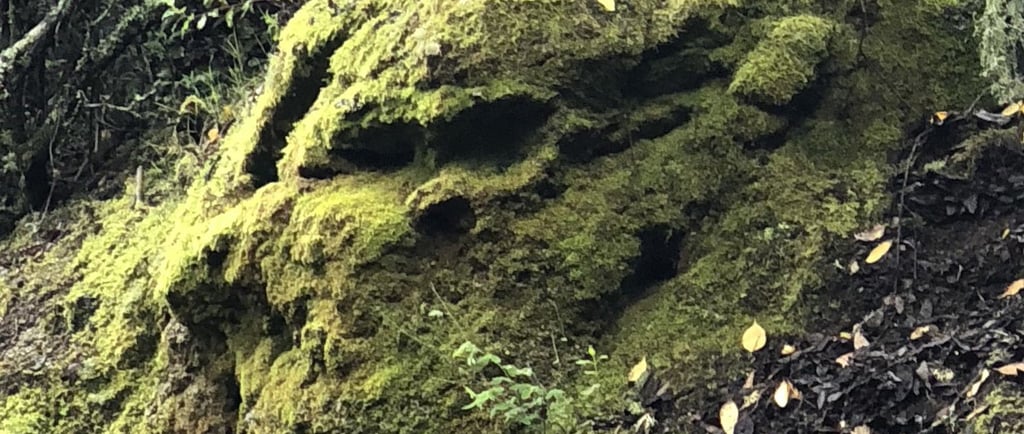 Rencontre avec les esprits gardiens des lieux