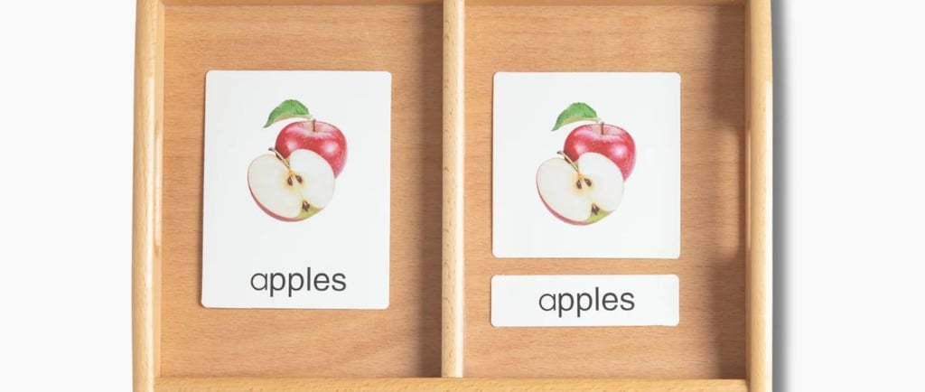 How to use nomenclature cards Montessori style: three part cards laid out on a tray