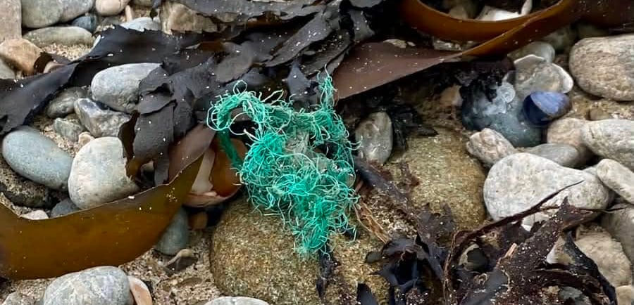 Déchet marin échoué sur le sable : la matière brute avant la réparation par Xirkys