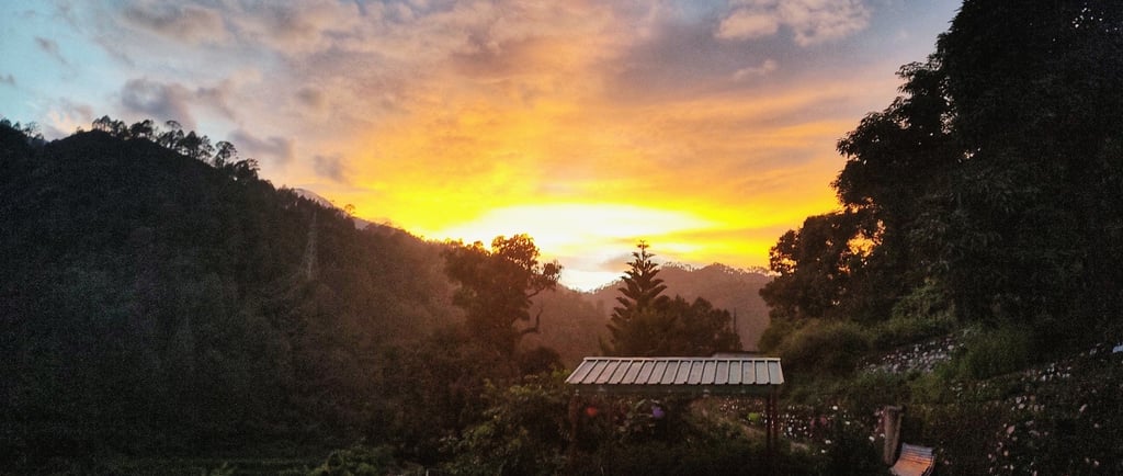 Aastha Homestay
