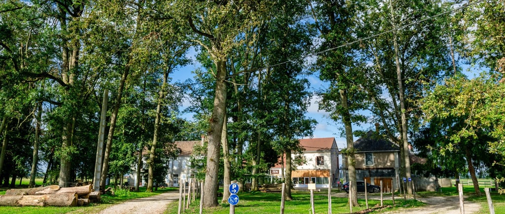 Forêt jardin One Health