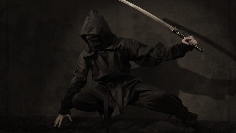 ninja 1