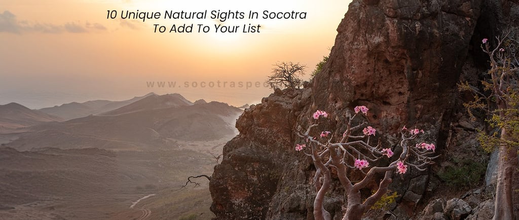 10 Unique Natural Sights In Socotra To Add To Your List