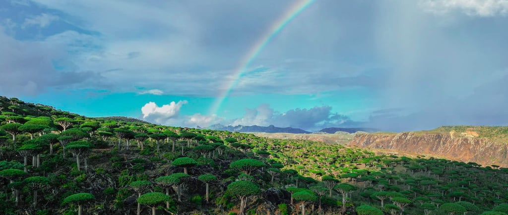 A Guide to Cuisine in Socotra