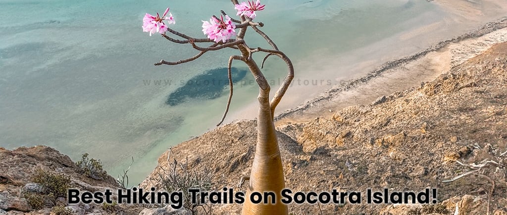Best Hiking Trails on Socotra Island